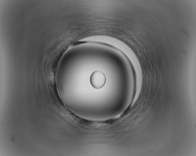 X0000112510617200908171335