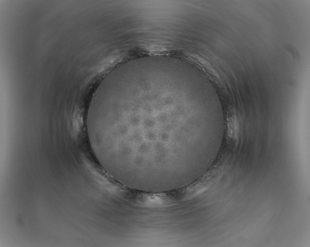 X0000112510618200908171335