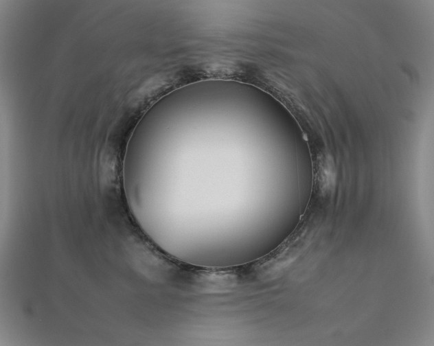 X0000112510619200908171335