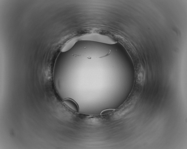 X0000112510620200908171335