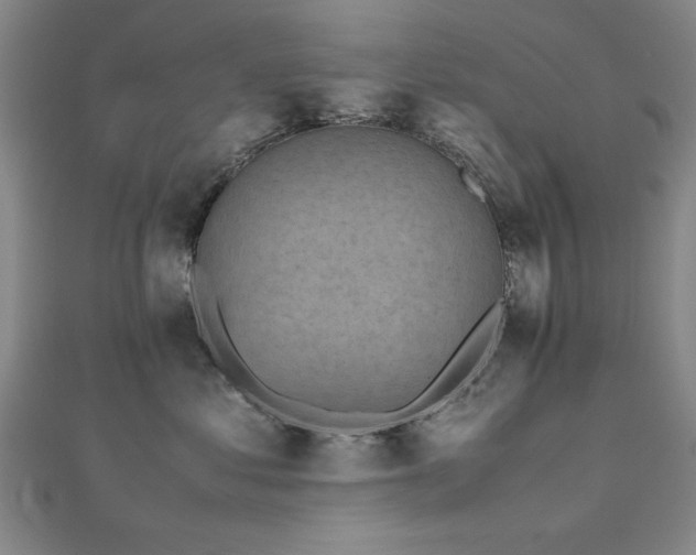 X0000112510621200908171335