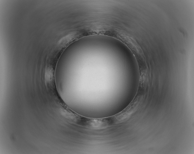 X0000112510623200908171335