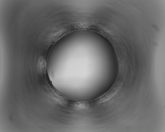 X0000112510624200908171335