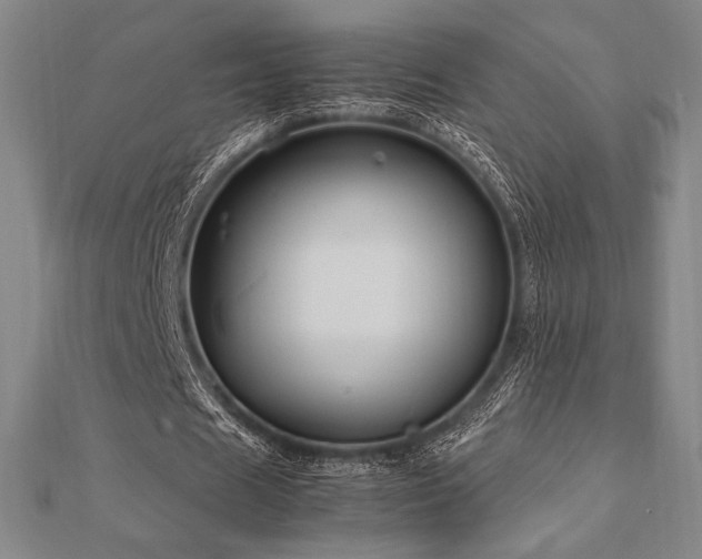 X0000112510625200908171334