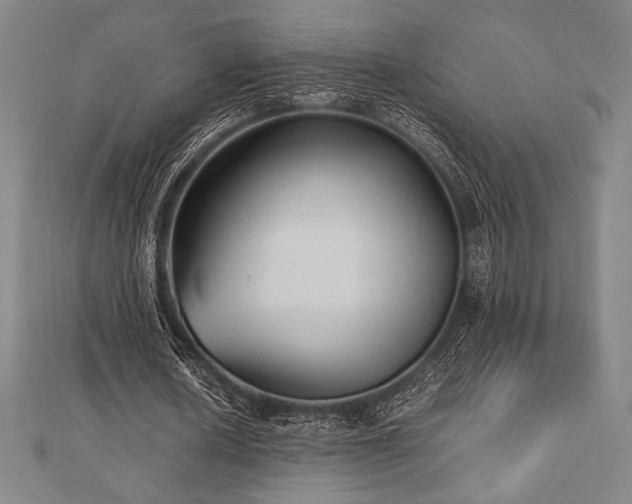 X0000112510626200908171334