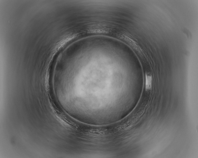 X0000112510627200908171334