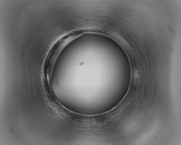 X0000112510628200908171334