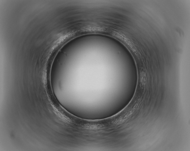 X0000112510629200908171334