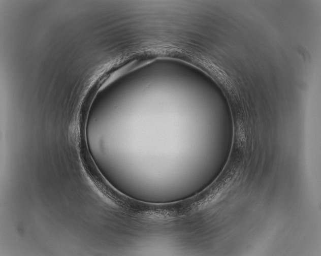 X0000112510630200908171334