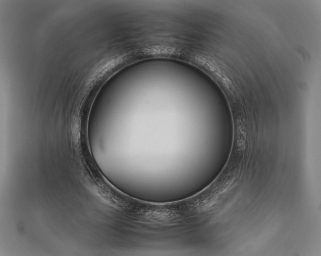 X0000112510631200908171334