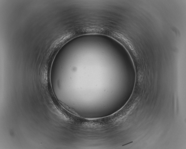 X0000112510633200908171334