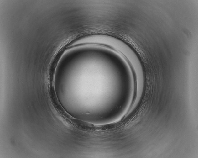 X0000112510634200908171334