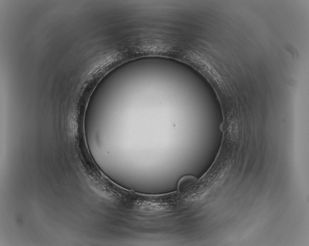 X0000112510635200908171334