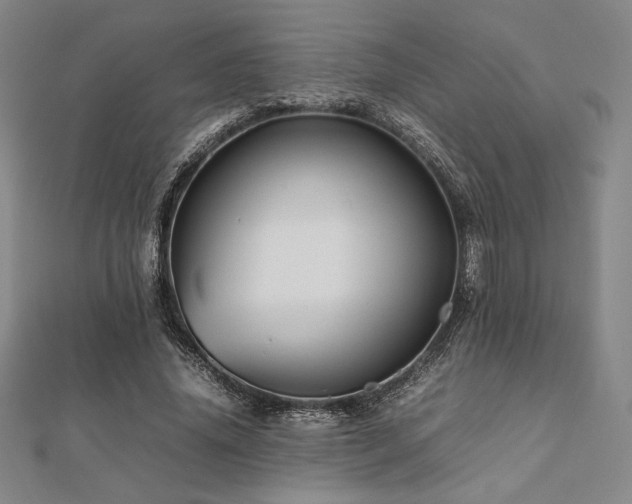 X0000112510636200908171334