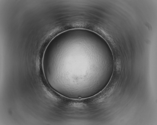 X0000112510637200908171334