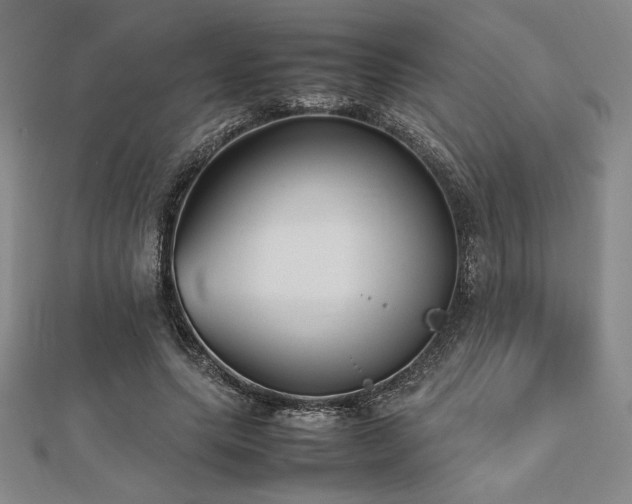 X0000112510639200908171334