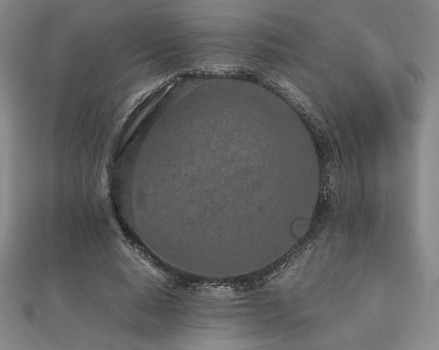 X0000112510640200908171334