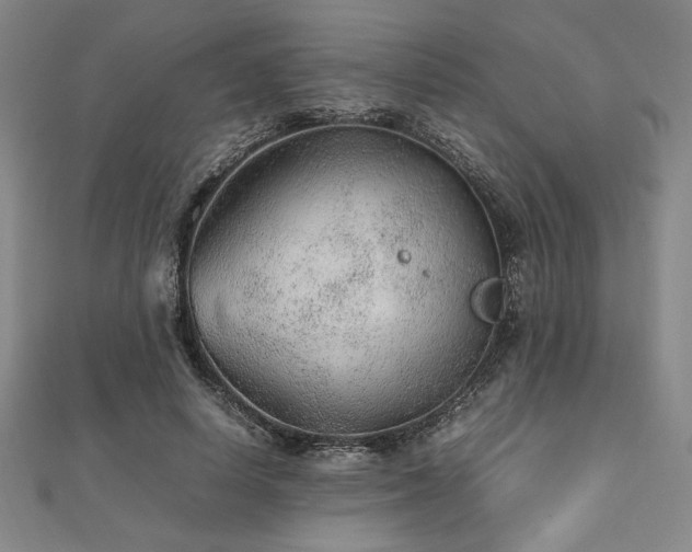 X0000112510642200908171334