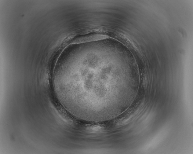 X0000112510643200908171334