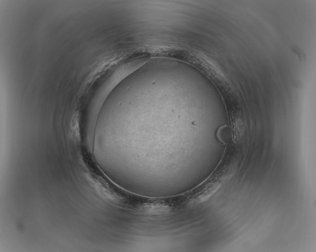 X0000112510644200908171334