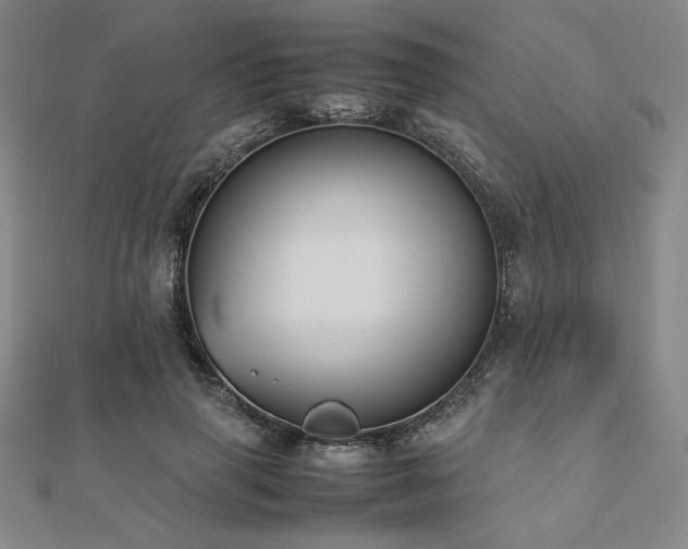 X0000112510645200908171334