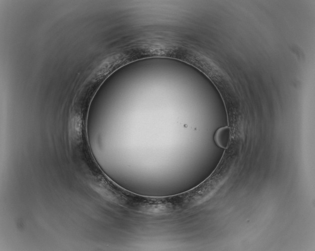 X0000112510646200908171334