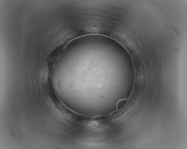 X0000112510647200908171334