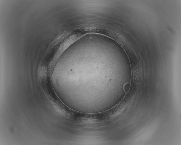 X0000112510648200908171334