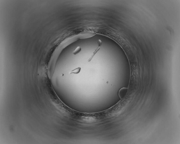 X0000112510649200908171334