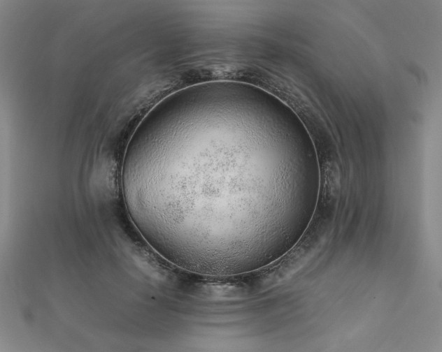 X0000112510650200908171334