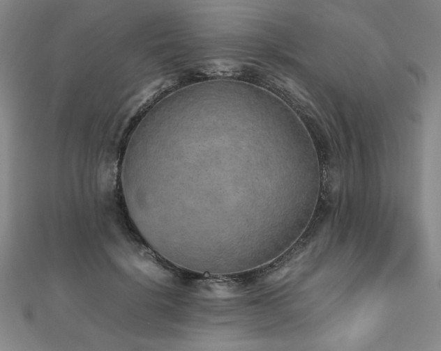 X0000112510652200908171334