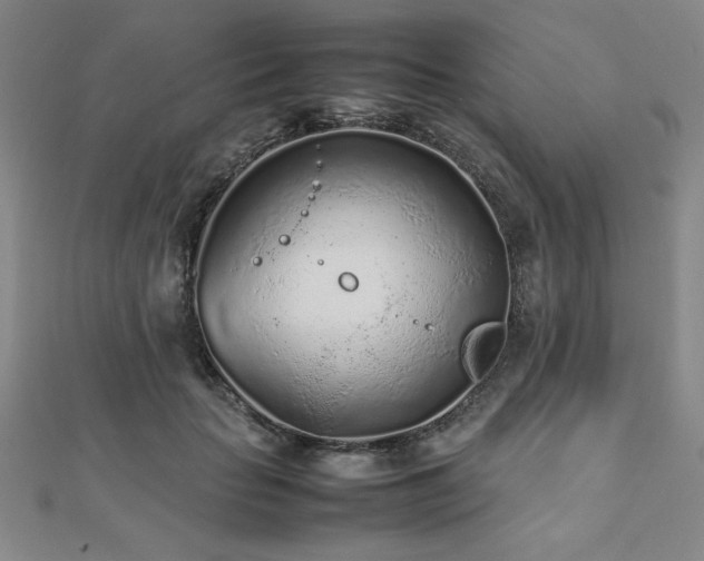 X0000112510653200908171334