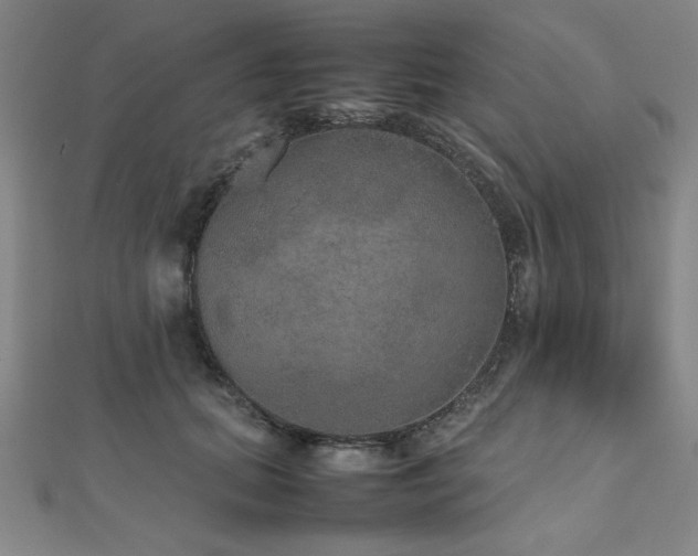 X0000112510655200908171334