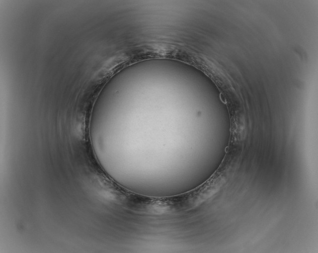 X0000112510656200908171334