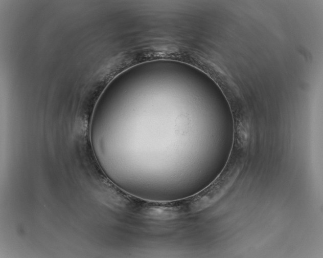 X0000112510657200908171334