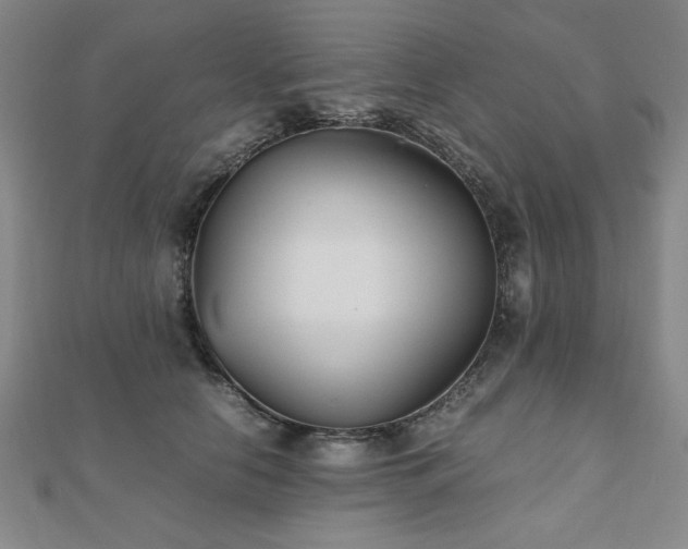 X0000112510658200908171334