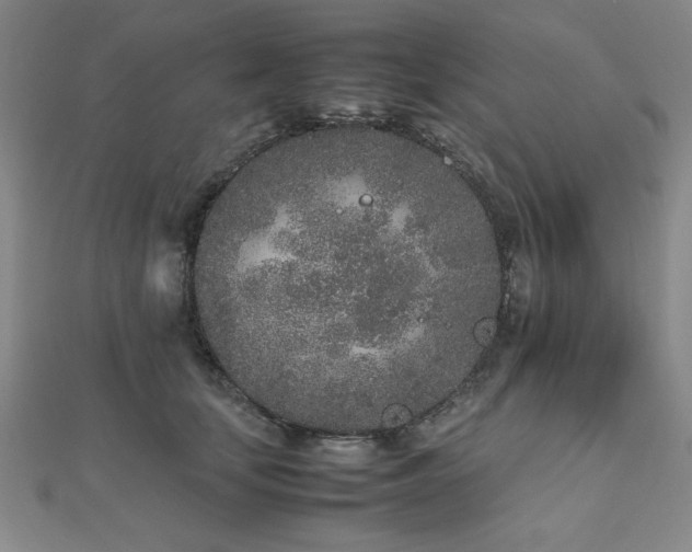 X0000112510659200908171334