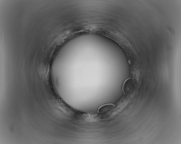 X0000112510660200908171334