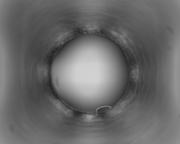 X0000112510662200908171334