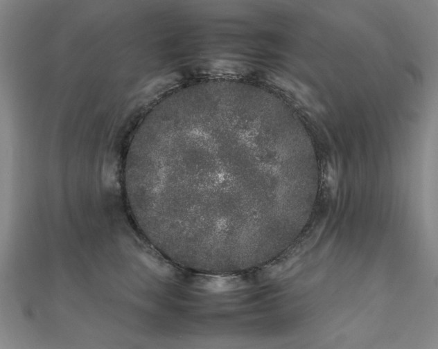 X0000112510663200908171334