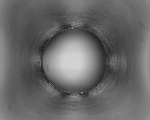 X0000112510666200908171335