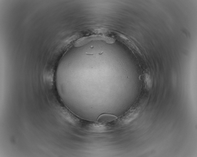 X0000112510668200908171335