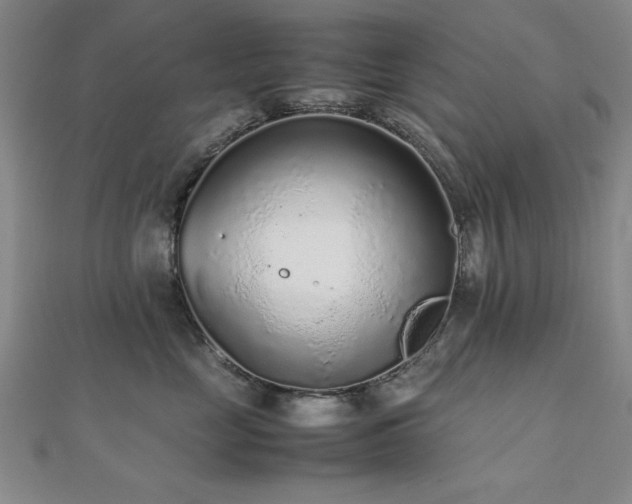 X0000112510669200908171335