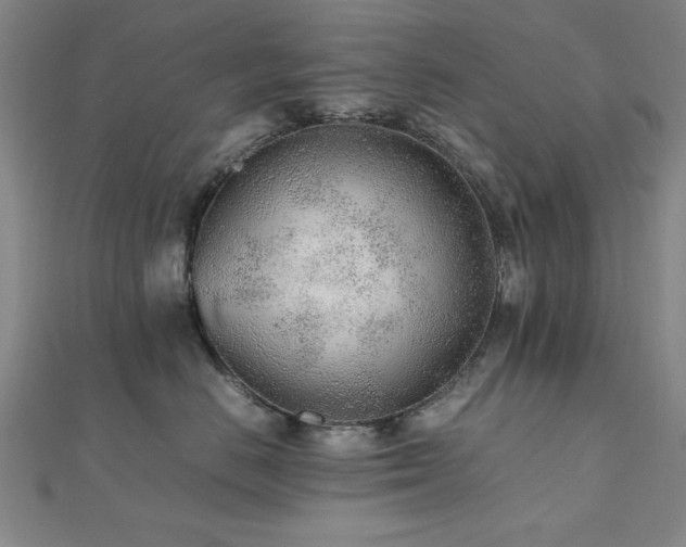 X0000112510670200908171335