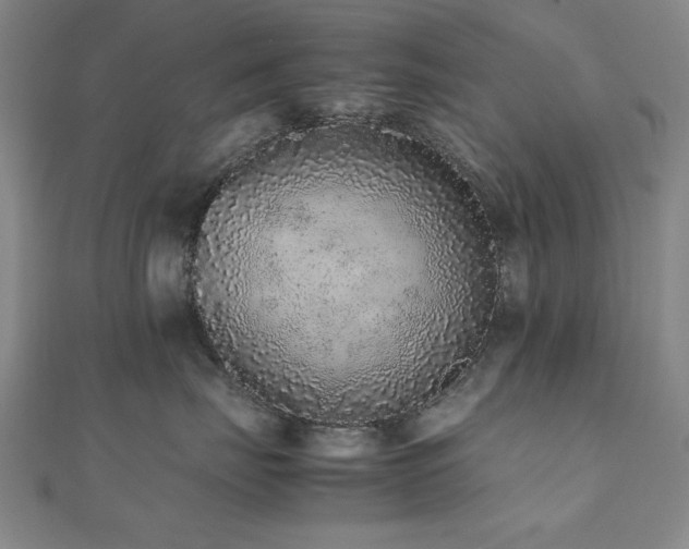 X0000112510671200908171335