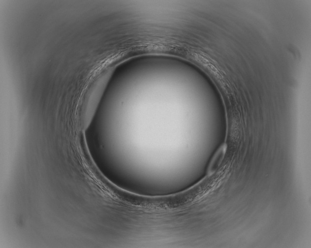 X0000112510673200908171334