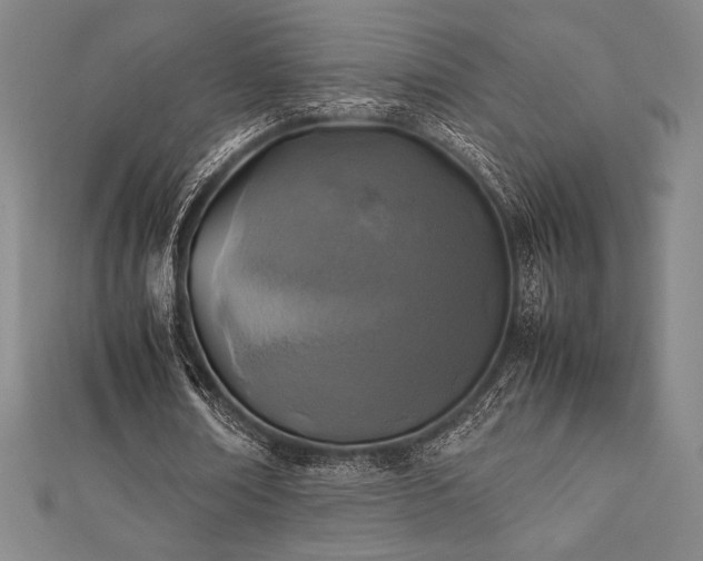 X0000112510674200908171334