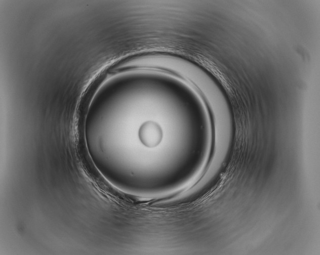 X0000112510676200908171334