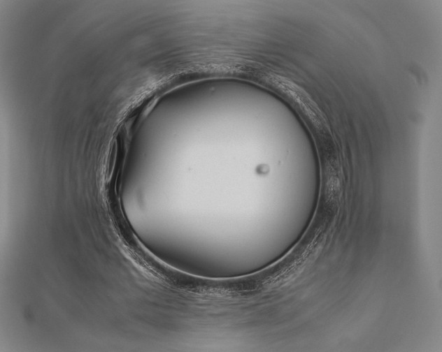 X0000112510677200908171334