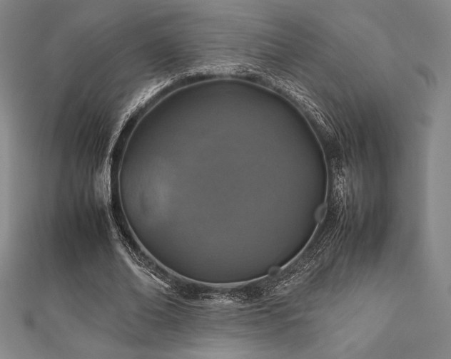 X0000112510678200908171334